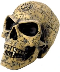 All Homeware Alchemy Gothic Omega Skull Gothic Occult Skull V1