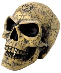 All Homeware Alchemy Gothic Omega Skull Gothic Occult Skull V1