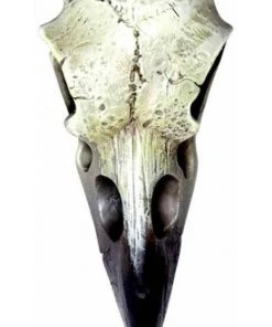Gothic Jewellery Alchemy Gothic Reliquary Raven Skull V66