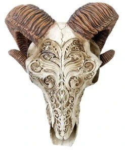 Alchemy Gothic Scrimshaw Ram Skull All Homeware 11 Alchemy Gothic Scrimshaw Ram Skull All Homeware