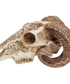 Alchemy Gothic Scrimshaw Ram Skull All Homeware 9 Alchemy Gothic Scrimshaw Ram Skull All Homeware
