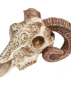 Alchemy Gothic Scrimshaw Ram Skull All Homeware 10 Alchemy Gothic Scrimshaw Ram Skull All Homeware
