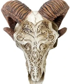 Alchemy Gothic Scrimshaw Ram Skull All Homeware