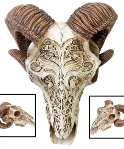 Alchemy Gothic Scrimshaw Ram Skull All Homeware 8 Alchemy Gothic Scrimshaw Ram Skull All Homeware