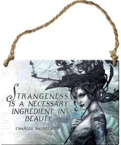 Alchemy Gothic All Homeware Alchemy Strangeness Necessary Ingredient Plaque