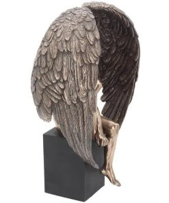 Nemesis Now All Homeware Angel's Reflection