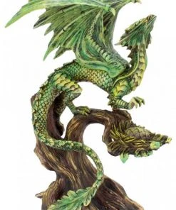 Nemesis Now Anne Stokes Adult Forest Dragon All Homeware