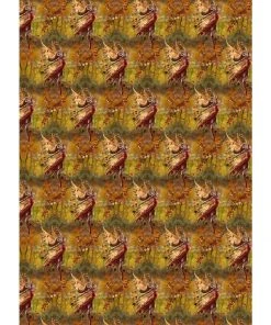 Eastgate Anne Stokes Autumn Fairy Wrapping Paper Cards And Wrapping Paper