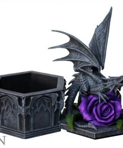 Nemesis Now All Homeware Anne Stokes Dragon Beauty Box