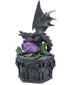 Nemesis Now All Homeware Anne Stokes Dragon Beauty Box