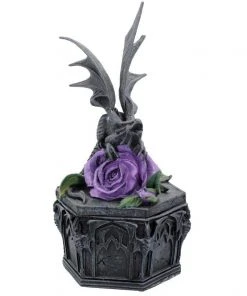Nemesis Now All Homeware Anne Stokes Dragon Beauty Box