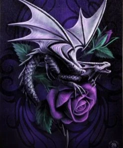 Something Different Anne Stokes Dragon Beauty Picture Sale