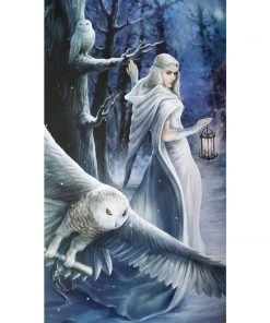 Eastgate Anne Stokes Fantasy Art Colouring Book All Homeware