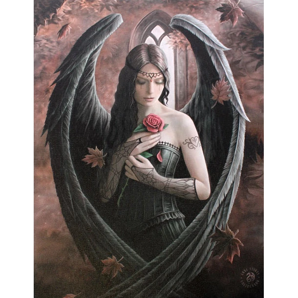 Something Different Sale Anne Stokes Gothic Angel Rose Picture 4 Something Different Sale Anne Stokes Gothic Angel Rose Picture