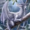 Eastgate Cards And Wrapping Paper Anne Stokes Snow Dragon Yuletide Card