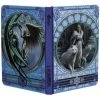 Eastgate All Homeware Anne Stokes Winter Guardian Notebook