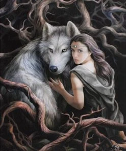 Something Different Anne Stokes Soul Bond Wall Picture