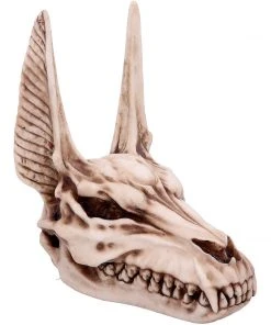 Nemesis Now Anubis Skull