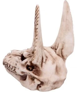 Nemesis Now Anubis Skull
