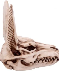 Nemesis Now Anubis Skull
