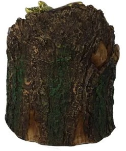 Nemesis Now Arboreal Hatchling Dragon Green All Homeware