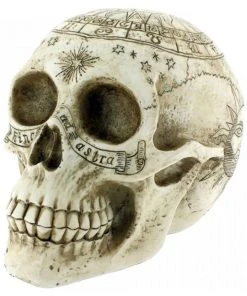 Nemesis Now All Homeware Astrological Skull