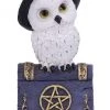 Nemesis Now Avian Spell Owl Figurine Blue