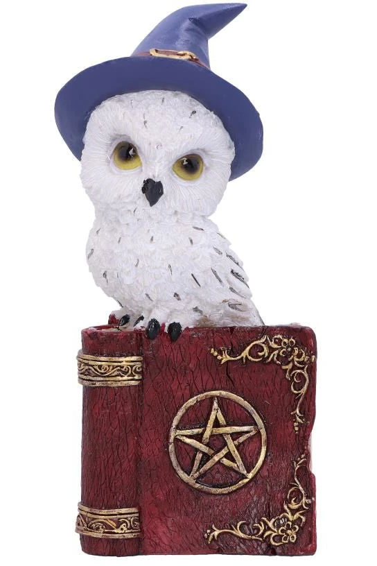 Nemesis Now Avian Spell Red All Homeware 3 Nemesis Now Avian Spell Red All Homeware