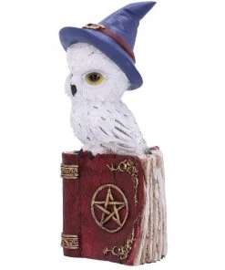 Nemesis Now Avian Spell Red All Homeware