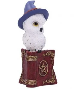 Nemesis Now Avian Spell Red All Homeware 13 Nemesis Now Avian Spell Red All Homeware