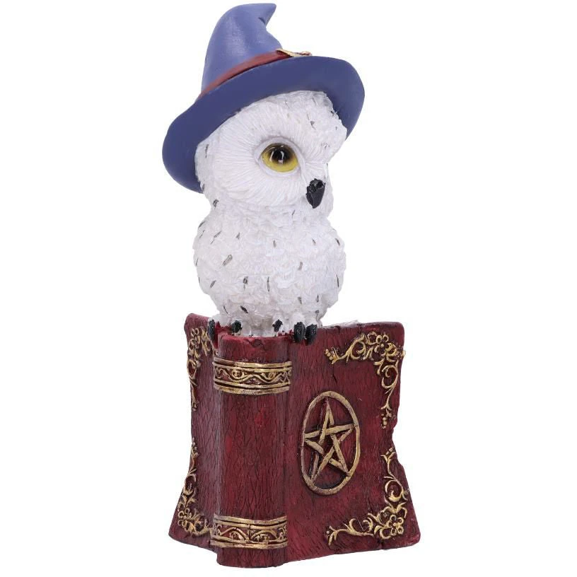 Nemesis Now Avian Spell Red All Homeware 6 Nemesis Now Avian Spell Red All Homeware