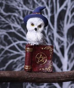 Nemesis Now Avian Spell Red All Homeware 17 Nemesis Now Avian Spell Red All Homeware