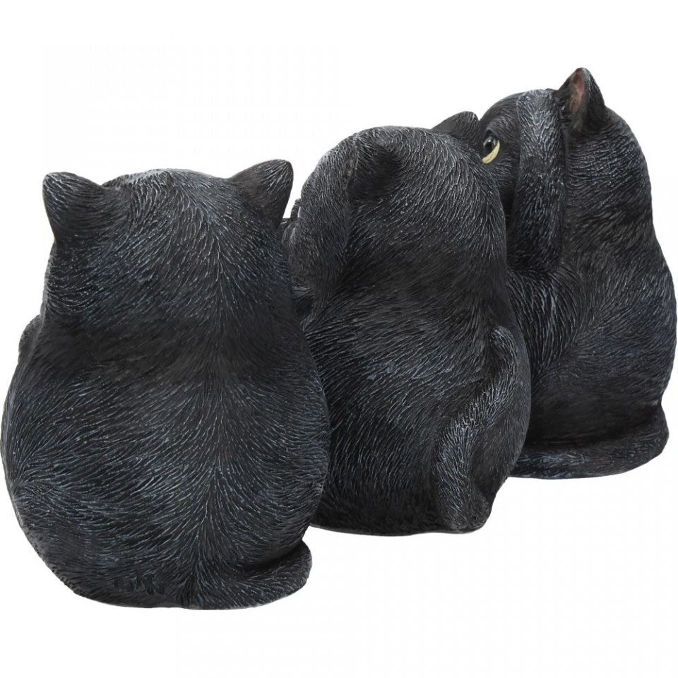Nemesis Now All Homeware Three Wise Fat Cats 7 Nemesis Now All Homeware Three Wise Fat Cats