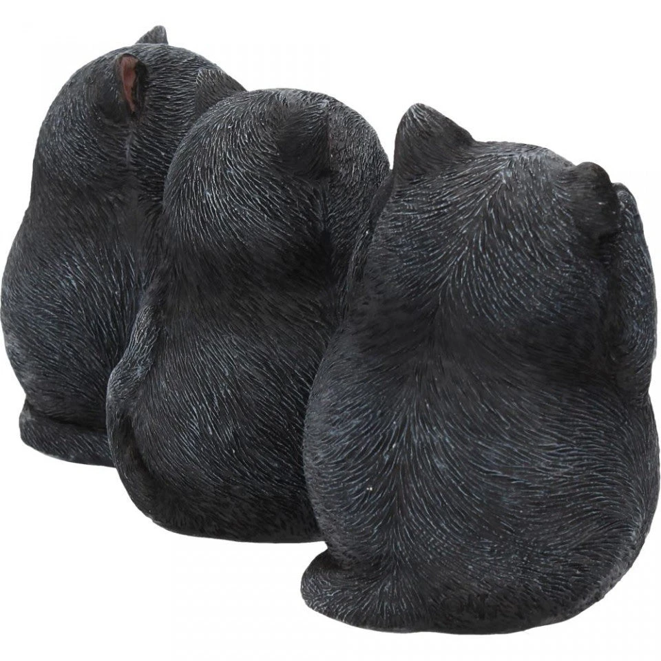 Nemesis Now All Homeware Three Wise Fat Cats 9 Nemesis Now All Homeware Three Wise Fat Cats