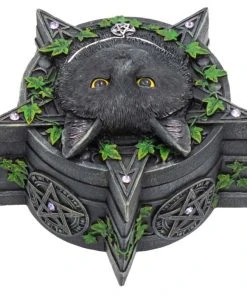 Nemesis Now Lisa Parker The Charmed One Box