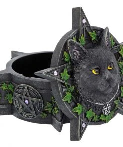 Nemesis Now Lisa Parker The Charmed One Box