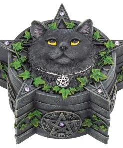 Nemesis Now Lisa Parker The Charmed One Box