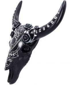 Nemesis Now Spiritual Remains Skull All Homeware