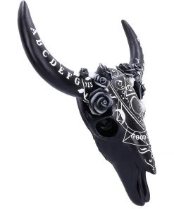 Nemesis Now Spiritual Remains Skull All Homeware