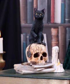 Nemesis Now All Homeware Lisa Parker Spirits Of Salem