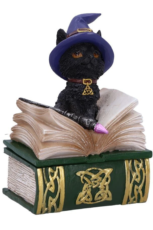 Nemesis Now All Homeware Binx Cat Figurine 3 Nemesis Now All Homeware Binx Cat Figurine