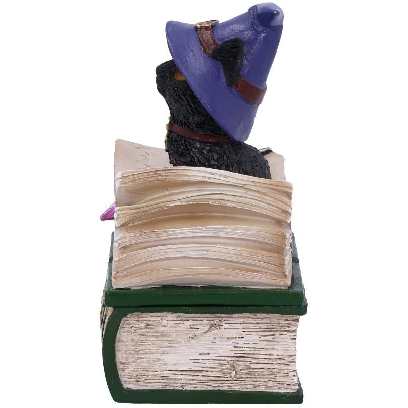 Nemesis Now All Homeware Binx Cat Figurine 5 Nemesis Now All Homeware Binx Cat Figurine