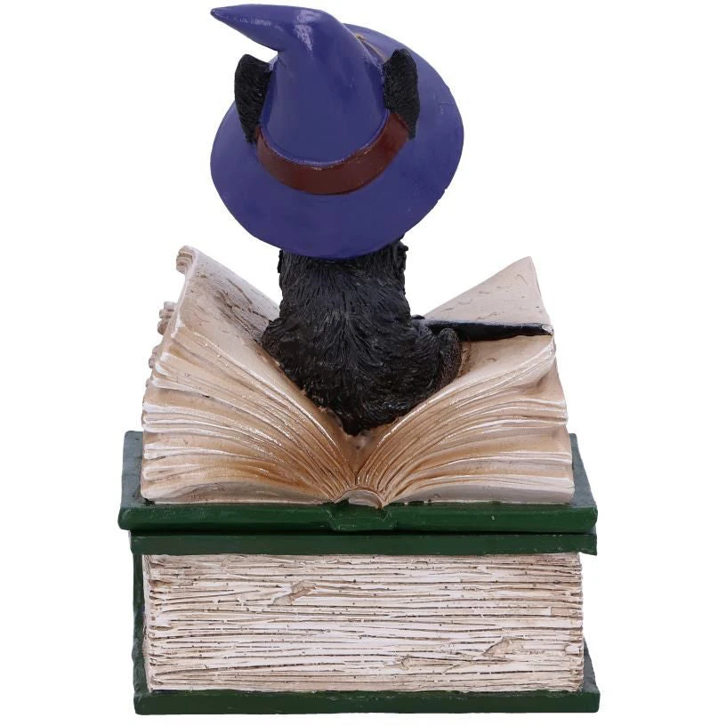 Nemesis Now All Homeware Binx Cat Figurine 6 Nemesis Now All Homeware Binx Cat Figurine