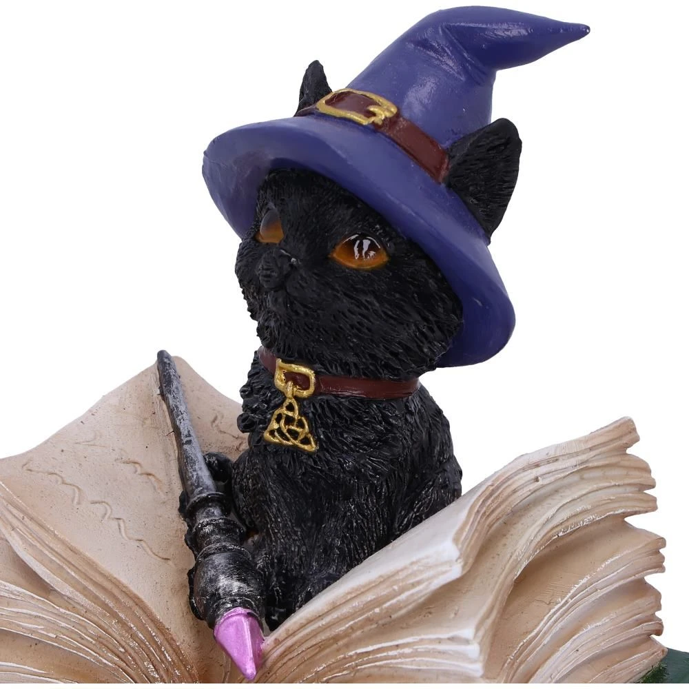 Nemesis Now All Homeware Binx Cat Figurine 7 Nemesis Now All Homeware Binx Cat Figurine