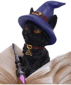 Nemesis Now All Homeware Hocus Pocus And Binx