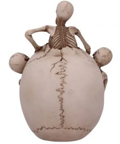 Nemesis Now All Homeware Breaking Free Skull