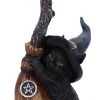 Nemesis Now Broom Guard Witches Cat All Homeware