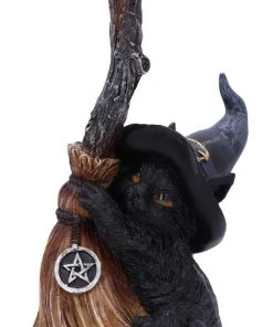 Nemesis Now Broom Guard Witches Cat All Homeware