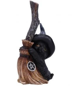 Nemesis Now Broom Guard Witches Cat All Homeware