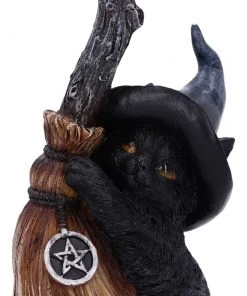 Nemesis Now Broom Guard Witches Cat All Homeware